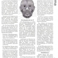 FaceFormer-Therapie (FFT) - Vorschaubild