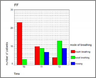 FaceFormer-Therapiegruppe (FF)